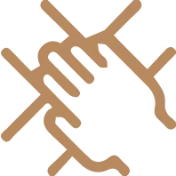 vectors