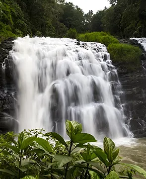 Coorg